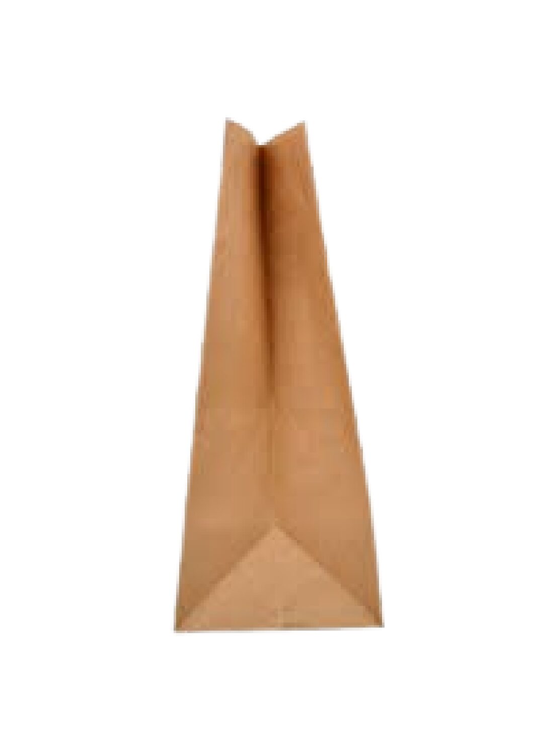 250 Sac kraft brun sans poignée 26*30*14