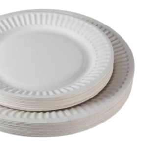 ASSIETTE GM Ø23CM BLANC QUICK